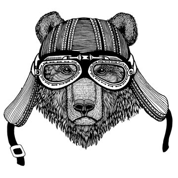 Wild bear biker animal wearing motorcycle helmet. Hand drawn image for tattoo, emblem, badge, logo, patch, t-shirt.