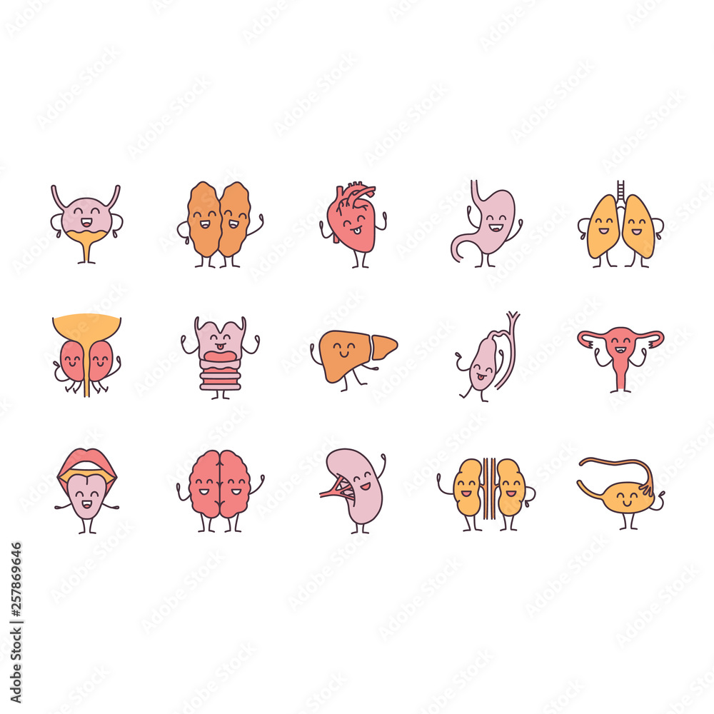 Poster smiling human internal organs characters color icons set
