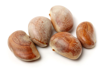 Raw Jackfruit seeds on white background