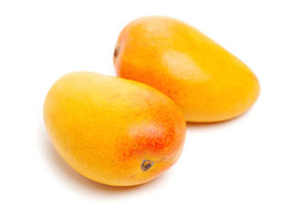 Mango on white background