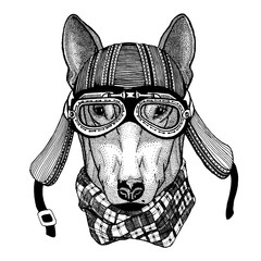 Dog wild biker animal wearing motorcycle helmet. Hand drawn image for tattoo, emblem, badge, logo, patch, t-shirt.
