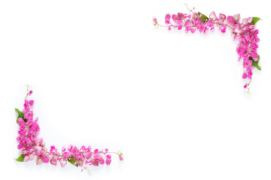 pink floral flower border frame as corner on white background with copy space