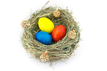 colored easter eggs in grass nest with bumps