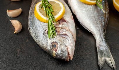 two fresh raw Dorado fish with spices and olive oil on a stone background.