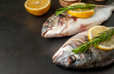  two fresh raw Dorado fish with spices and olive oil on a stone background. 