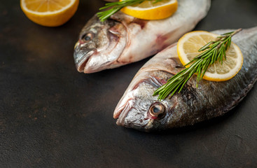  two fresh raw Dorado fish with spices and olive oil on a stone background. 