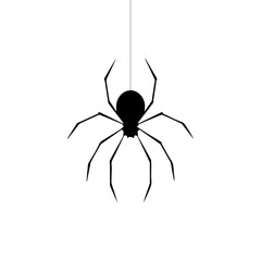 Spider vector isolated