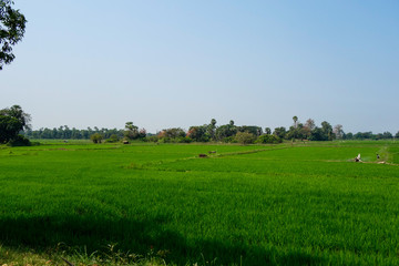 インワ　風景