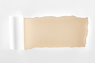 Fototapeta premium tattered textured white paper with rolled edge on beige background