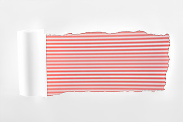 ragged textured white paper with rolled edge on red striped background