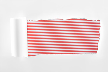 ragged textured white paper with rolled edge on red striped background