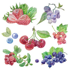 Berries watercolor set illustration isolated on white background. 