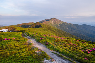 Chornogora ridge trail. Carpatian mountains, Ukraine. View to Pip Ivan