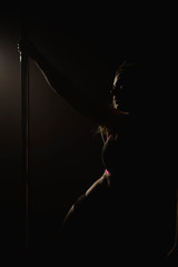 Young sexy woman exercise pole dance. Fitness