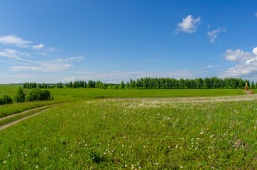 green field and blue sky