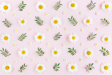 Pattern made of chamomiles, petals, leaves on pink background. Flat lay, top view  © K.Decor
