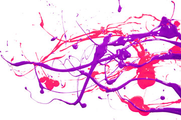 Obraz na płótnie Canvas Pink and Blue Purple on White Background