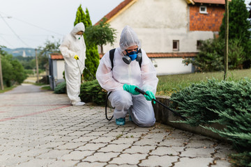 Exterminators outdoors in work wear spraying pesticide with sprayer.