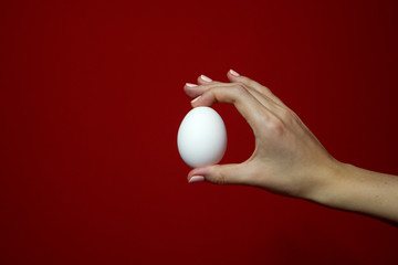 Fototapeta na wymiar Woman's hand holding white chicken egg on red background preparing for Easter