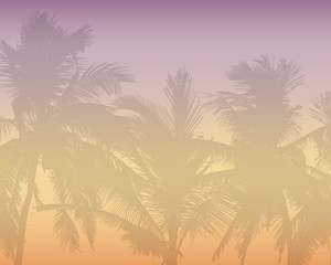 Pattern or background with realistic silhouette of tree tops, tropical palm trees, with morning orange-pink sky and with space for text, vector