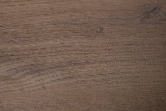 Detail of oak wood. Wooden surface decor. Natural design.Detail drawing of oak wood. Wooden surface decor.