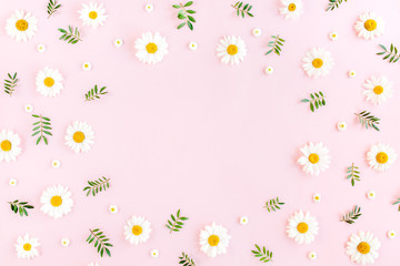 Frame made of chamomiles, petals, leaves on pink background. Flat lay, top view