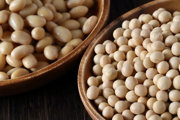 乾燥大豆と大豆の水煮