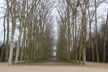 Gardens of Versailles