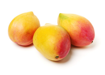 Mango on white background