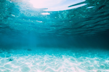 Fototapeta na wymiar Tropical blue ocean with white sand underwater in Hawaii