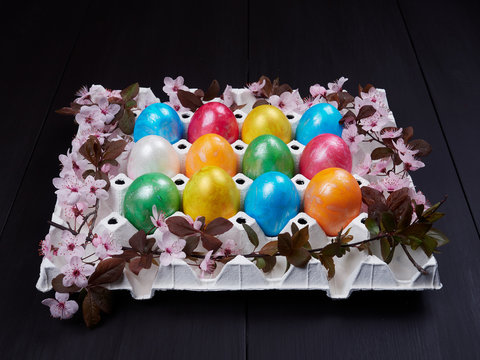 Colorful Easter eggs in a white egg box or egg carton