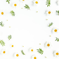 Frame made of chamomiles, leaves and petals on white background. Flat lay, top view floral background.