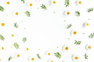 Frame made of chamomiles, leaves and petals on white background. Flat lay, top view floral background.