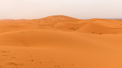 Fototapeta na wymiar Ripples and textures of the sand dunes in Sahara Desert (Merzouga), Morocco