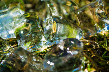 Green spring grass on it ice cubes lie. Sunshine. Meadow. Lawn. Background or texture.