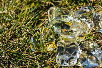 Green spring grass on it ice cubes lie. Sunshine. Meadow. Lawn. Background or texture.
