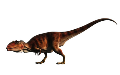 Giganotosaurus, one of the largest known terrestrial carnivores, was a carcharodontosaurid theropod dinosaur. Here is a brown one on a white background. 3D Rendering. 