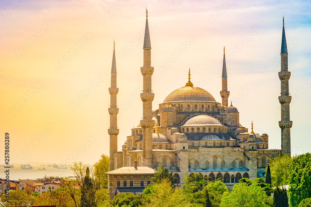 Wall mural minarets and domes of blue mosque with bosporus and marmara sea in background, istanbul, turkey.