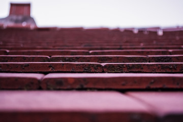 Red old roof from tiles. Slate. Curved surface. Background or texture.