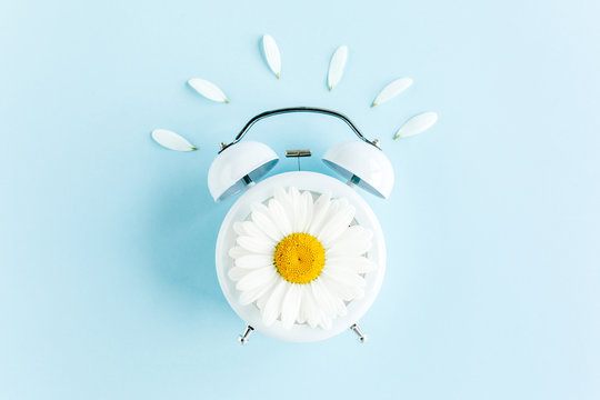 Composition-Summer Time From Chamomile Flower And Clock On Blue Background. Flat Lay, Top View