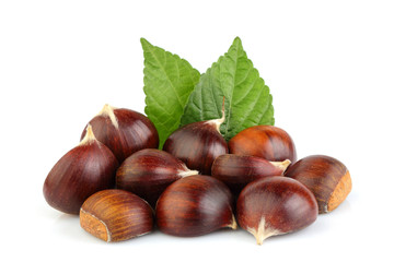Chestnuts with leaves isolated.