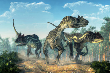 Three allosauruses kick up dust as they hunt along a rocky track created by the passage of large dinosaurs.  Three hunters on the prowl. 3D Rendering