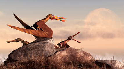 A trio of anhanguerii rest on a grassy, rock covered hill at the edge of the sea. One of the pterosaurs squawks at the full moon that is just rising over the horizon over the ocean. 3D Rendering  © Daniel Eskridge