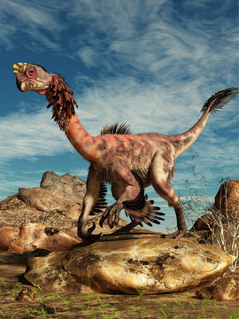 Citipati was a oviraptor theropod, a bird-like dinosaur that lived during the Cretaceous period in Asia.  This one is in an arid region standing on a rock. 3D Rendering