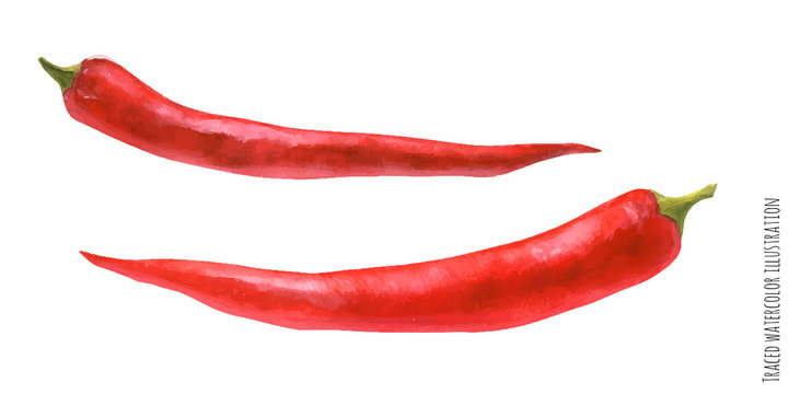 watercolor illustration of red hot pepper