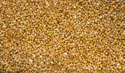 texture of raw green buckwheat with a heart-shaped green grain in the center