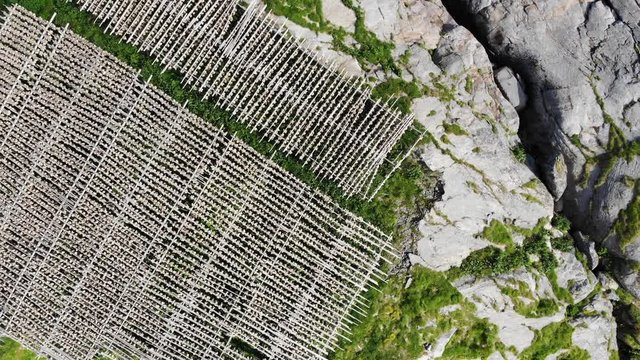 Aerial view. Cod stockfish drying on racks, Lofoten islands. Industrial fishing in Norway