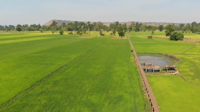 Drone shot aerial view scenic landscape of vitage and old bamboo bridge in the fresh and nature rice field, The old contryside