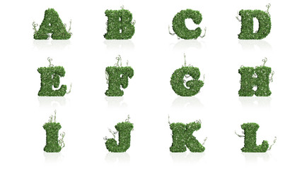 Letter A - L in a overview created of green ivy leaves with shadow on the floor - isolated on a white background