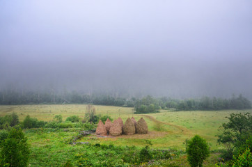 Travel to the Ural mountains. Local people here mow grass for cattle. Therefore, here you often see...